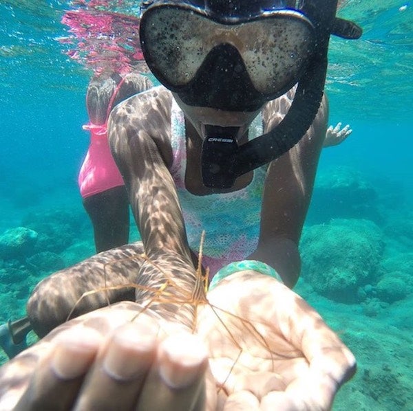 9 Ocean Conservation Groups You Don't Know about...but Should